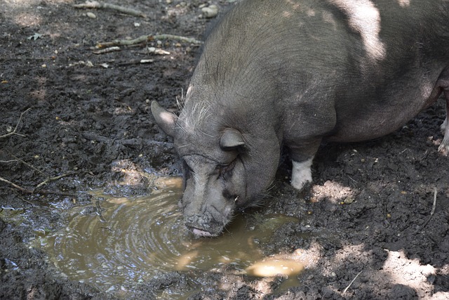 然而问题在 然而问题在