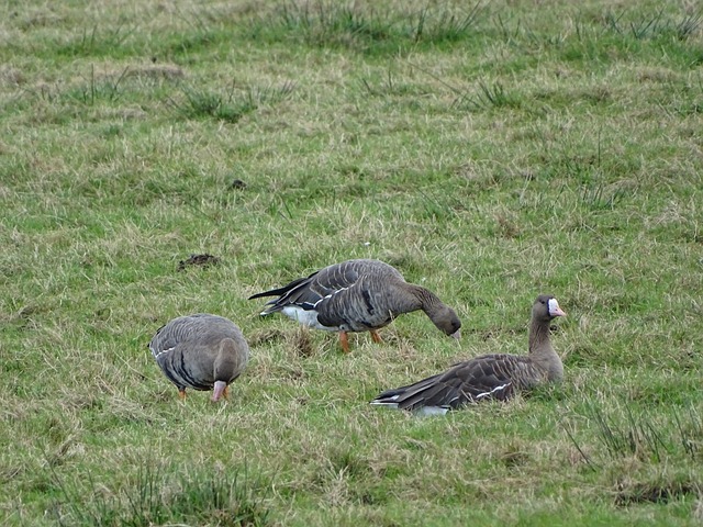 失利对拜仁 失利对拜仁