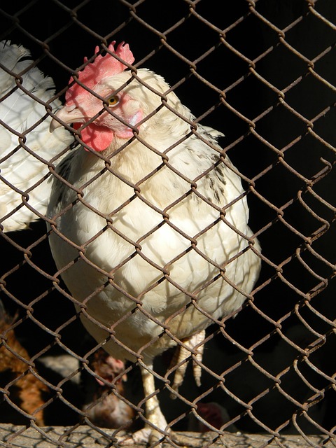 赢得更多荣 赢得更多荣