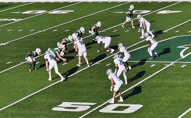 火箭骑士猛龙老鹰.